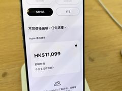 -Apple 零售店(Canton Road)