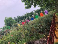 -百万葵园