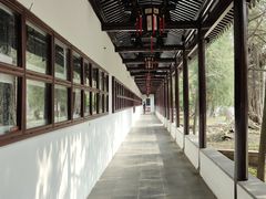 -苏州文庙(姑苏区)