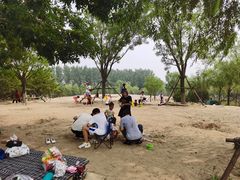 -东郊湿地公园