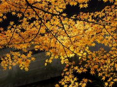 -宁波市保国寺古建筑博物馆