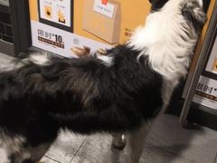 -麦当劳(无锡永乐店)