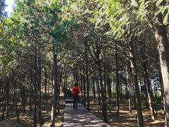 -北京十三陵国家森林公园蟒山景区