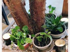 -印咖啡IN COFFEE(红旗街店)