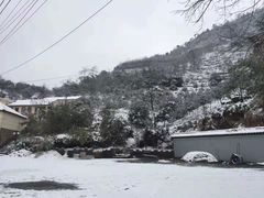 -四明山国家森林公园