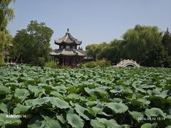 -莲池书院博物馆