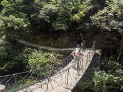 -大奇山国家森林公园
