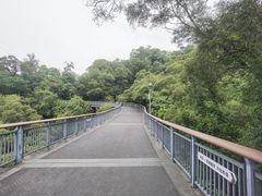 -金鸡山公园