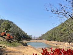 -桃花岭景区