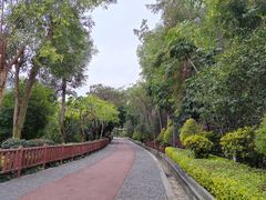 -狐尾山公园