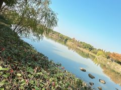 -东湖落雁景区