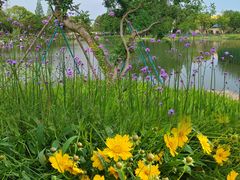 -宁波儿童公园(鄞州区)