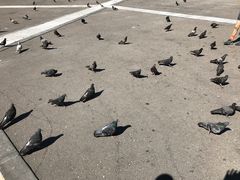 -宪法广场