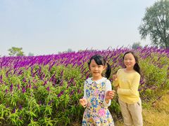 -汉长安城未央宫国家考古遗址公园