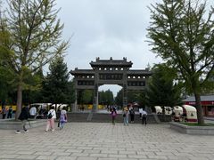 -老雒阳面馆·水席·洛阳菜(纱厂路店)