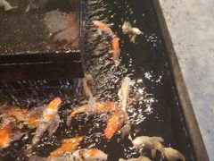 -弘安丽水温泉酒店