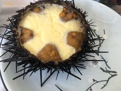 海胆蒸蛋-宾朋海鲜特色美食餐厅·纯手工鲅鱼水饺(兴海路店)