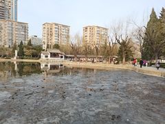 -团结湖公园