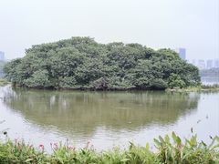 -海珠湖公园