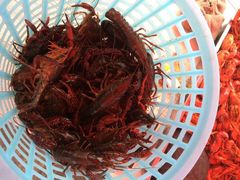电台龙虾-电台龙虾烧烤排档(尚达新天地购物广场店)