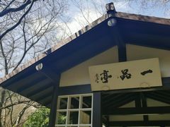-中国茶叶博物馆(双峰馆区)