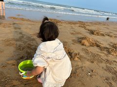 -日照海滨国家森林公园