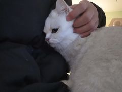 -青柠影咖·私人影院(龙泉店)