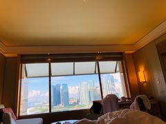 -新加坡丽思卡尔顿美年酒店