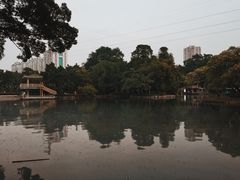 -晓港公园