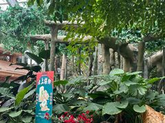 -国信南山温泉