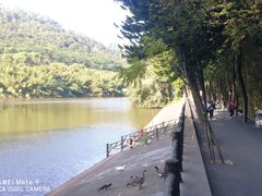 -滴水岩森林公园