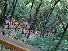 -大岭沟猕猴桃谷风景区