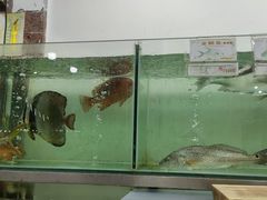 -浩海美食店(闸坡店)
