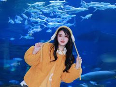 -海合安武汉极地海洋公园