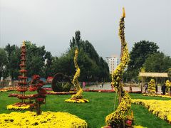 -廊坊文化艺术中心