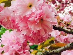 iphone_upload_pic-三鹰之森吉卜力美术馆