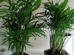 -海富金太阳幼儿园(金杨十街坊东)