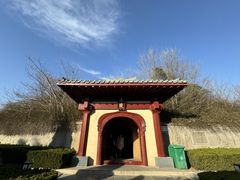 -洛阳古墓博物馆