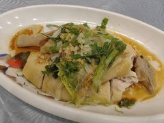葱油白切鸡-粤·向群饭店(龙津东路总店)