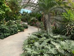 -南宫五洲植物乐园