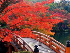 -醍醐寺