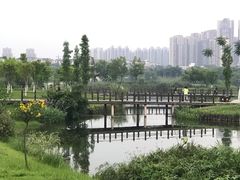 -眉山湿地公园(东坡区)