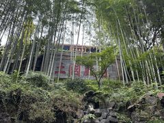 -灵隐飞来峰景区