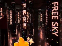 -平安金融中心云际观光层