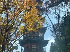 -上海月湖雕塑公园