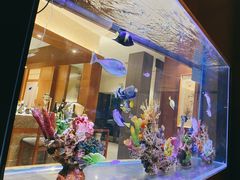 -水之惠鲜鱼料理(王府大街店)