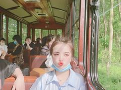 -合肥滨湖国家森林公园