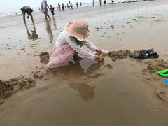 -日照海滨国家森林公园