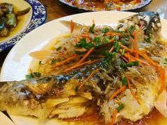 -悠悠美食