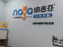 -纳吉亚猫专科动物诊疗中心(蒋宅口分院)
